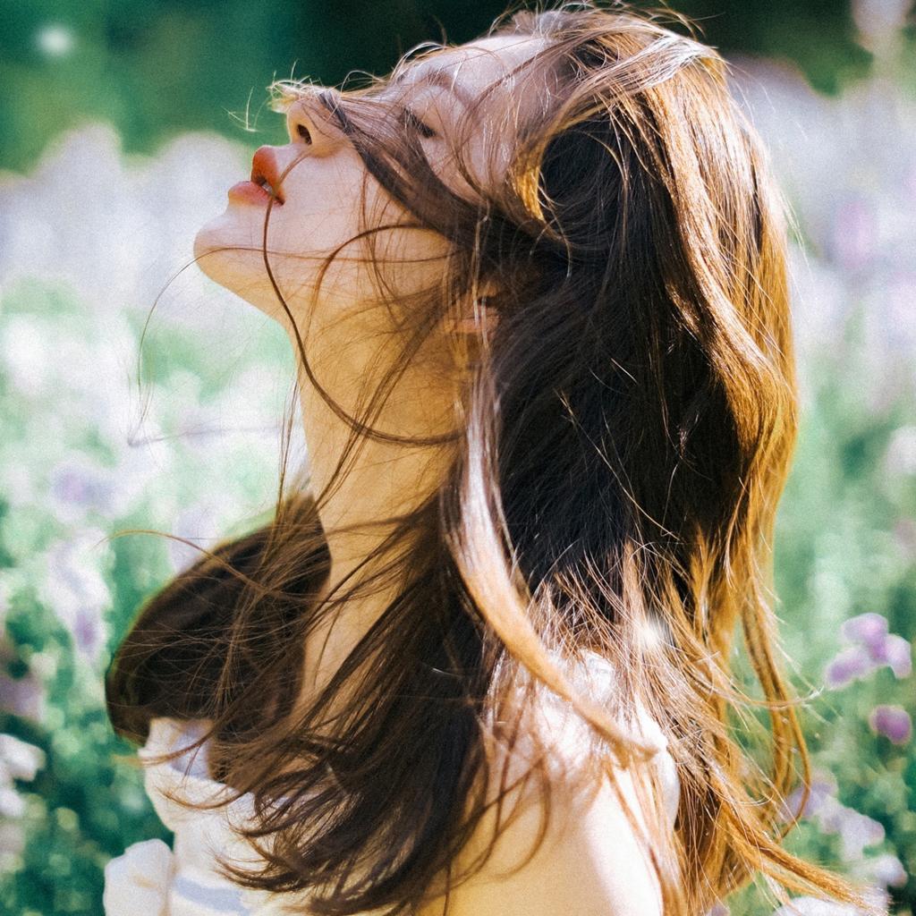 丰禾棋牌手机app下载