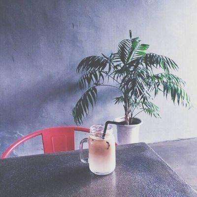 2023澳门资料大全正版手机app下载